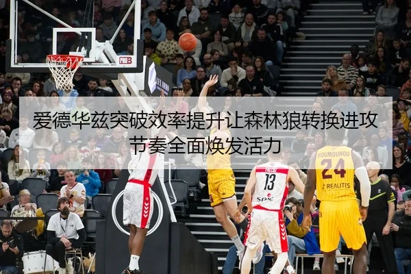 爱德华兹突破效率提升让森林狼转换进攻节奏全面焕发活力